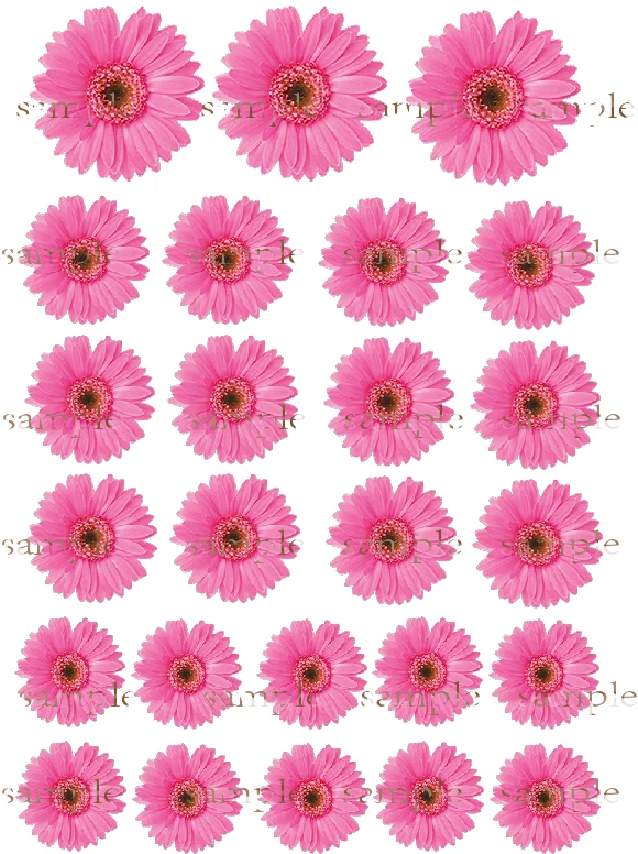 25 Смешанные Розовый Дейзи цветок съедобный торт фигурки жениха и невесты Вафли