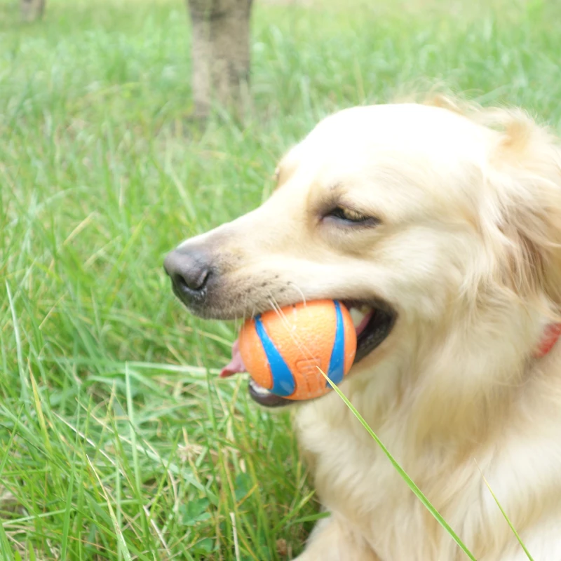Плюшевый Лабрадор маленькие средние и большие собаки моляры для вокализации