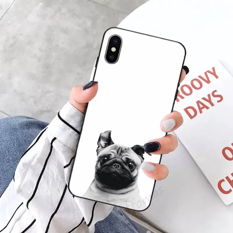 

Pug dog animal funny painting Phone Case Candy Color for iPhone 6 7 8 11 12 s mini pro X XS XR MAX Plus
