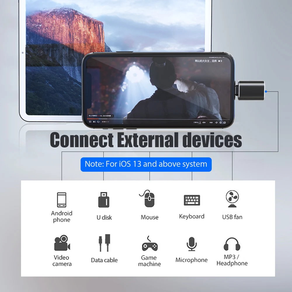 ! USB OTG адаптер ACCEZZ с подсветкой для iPhone 11 Pro XS Max XR X 8 7 6s Plus iPad U диск мышь