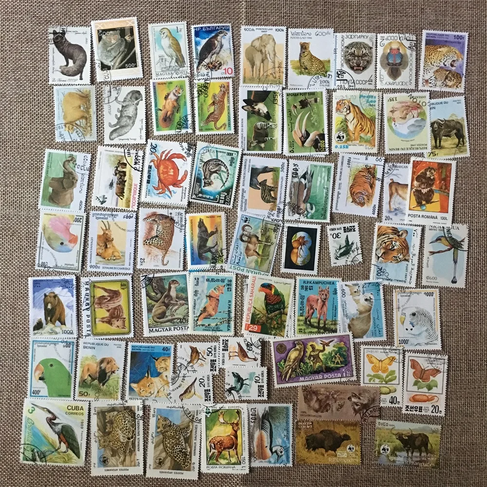 50 шт./компл. дикие животные все отличаются во многих странах без повторов с