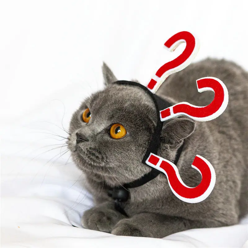 

Аксессуары для кошек