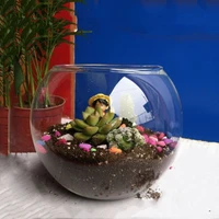 2pcspack diameter8cm small size top open glass terrarium vase home decoration table stand aquarium fishbowl