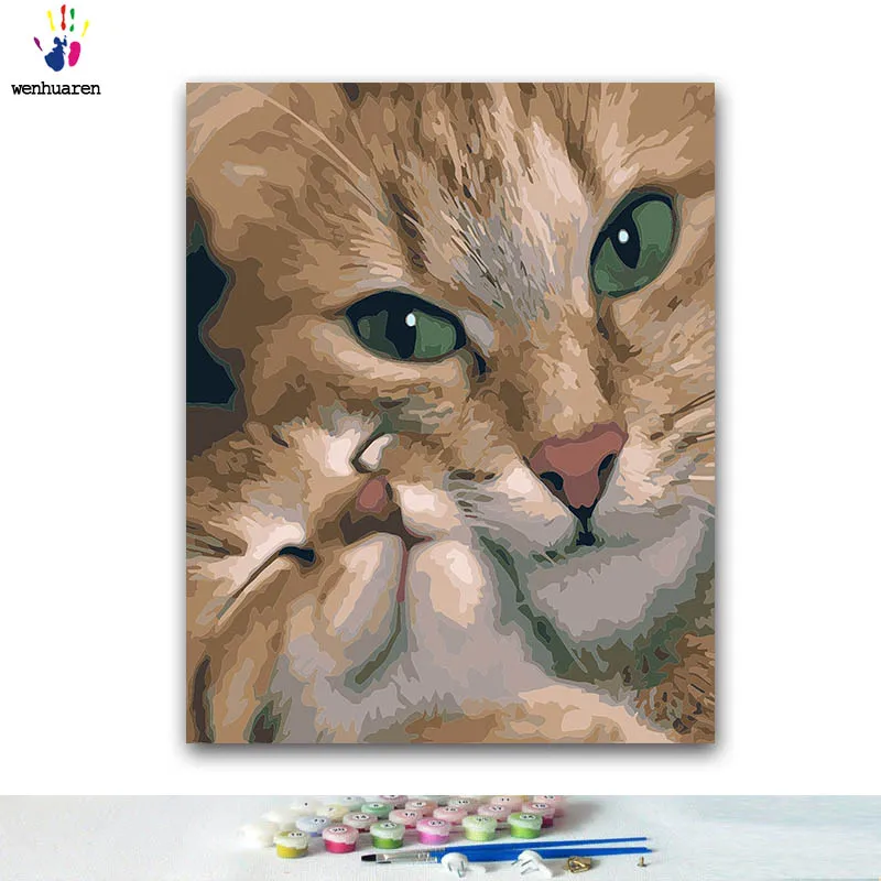 

DIY paints by numbers Hugging big cats and kitten paintings Colorings by numbers with kits 40x50 framed