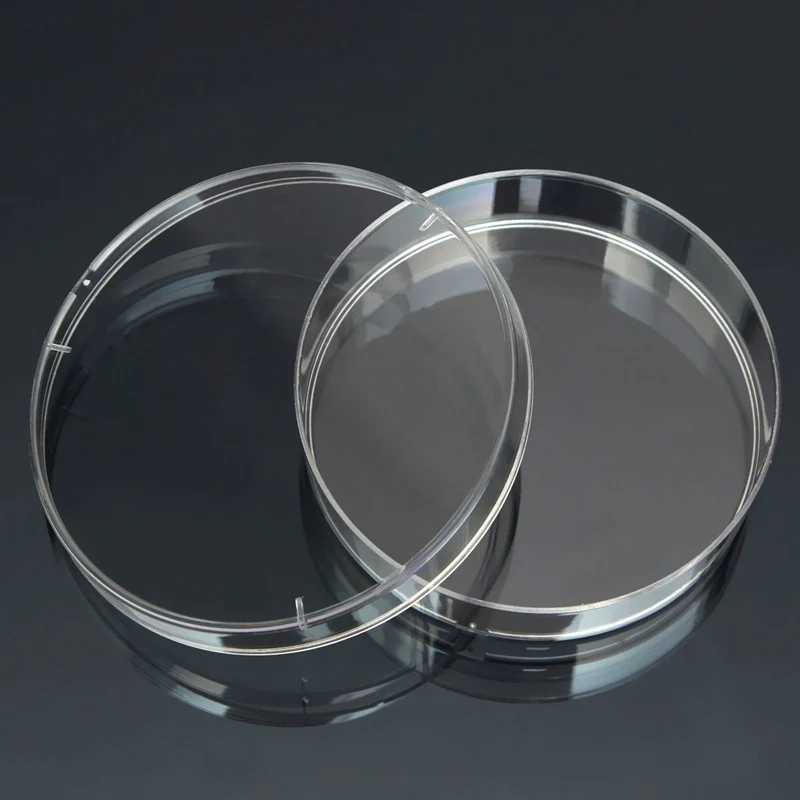 

10Pcs Polystyrene Sterile Petri Dishes Bacteria Culture Dish 60mm