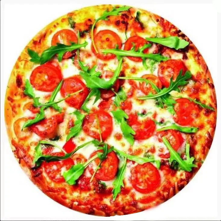 

WOSTAR Soft warm flannel tortilla pizza blanket 200Gsm round shape donut airplane travel portable wearable winter throw blanket