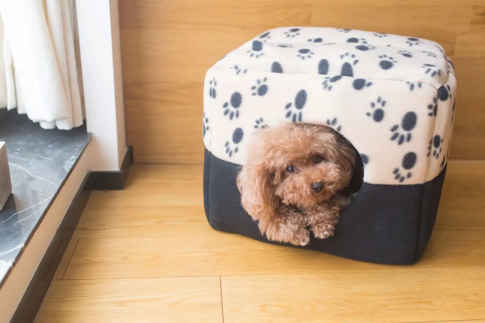 Зимняя кровать для кошек и собак мягкий теплый коврик сна с животными щенками