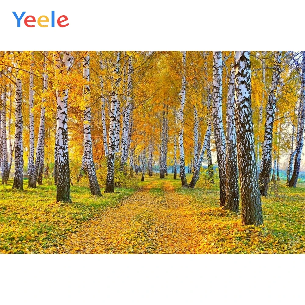 Виниловый фон для фотосъемки Yeele с изображением осеннего леса дерева клена
