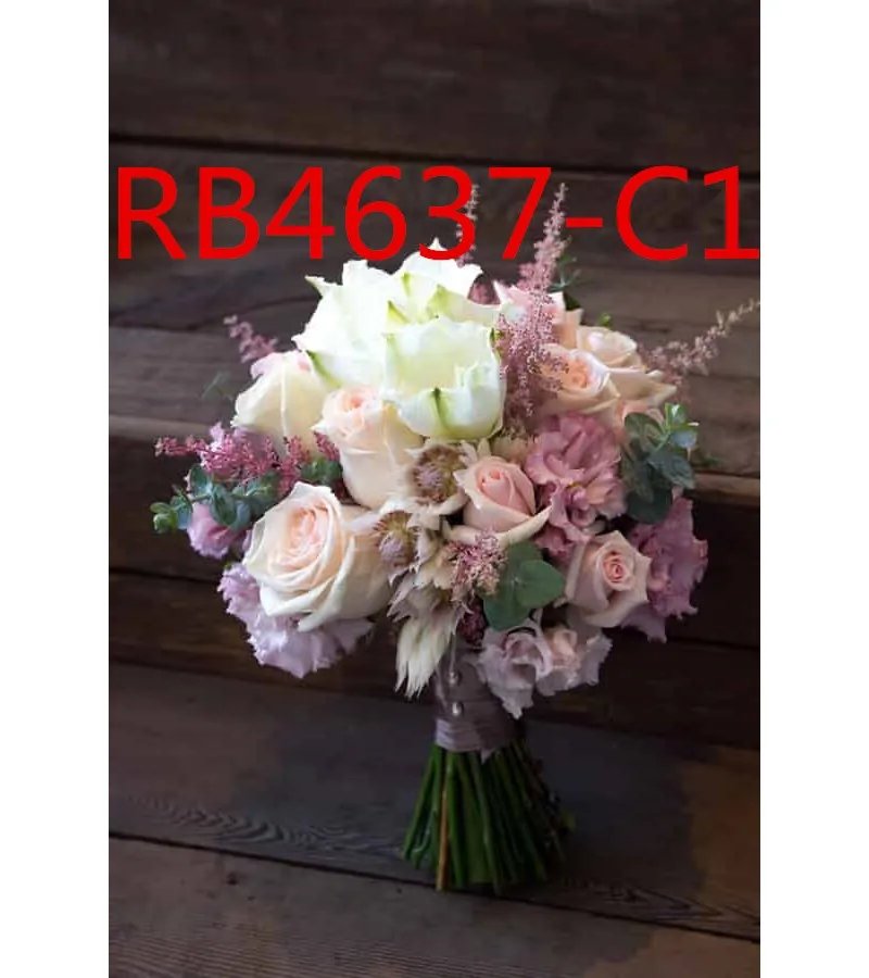 

RB4637