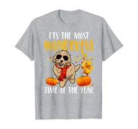 autumn most wonderful time goldendoodle fall dog gift t shirt