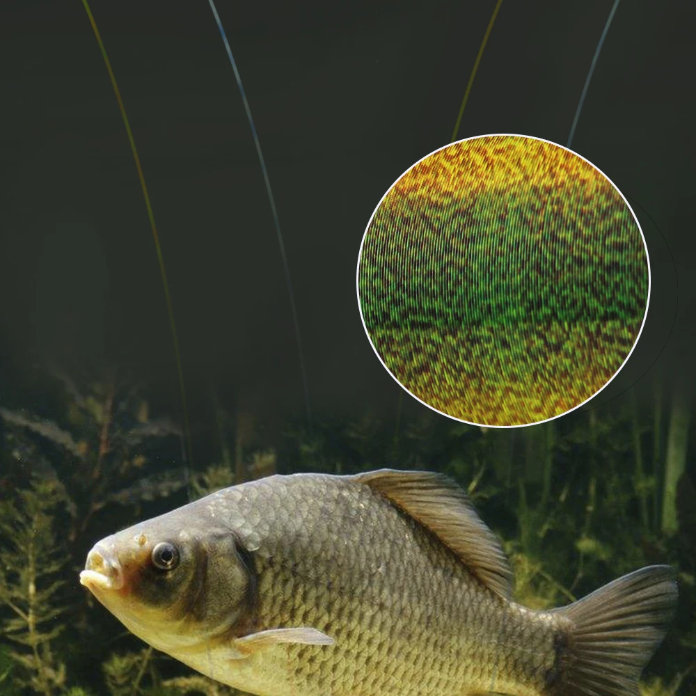 FTK 500 м 3D невидимая леска для ловли нахлыстом однонитевая рыболовная Speckle carp