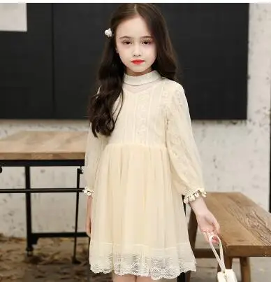 Весеннее платье для девочек 2019 модное кружевное принцессы маленьких с длинными