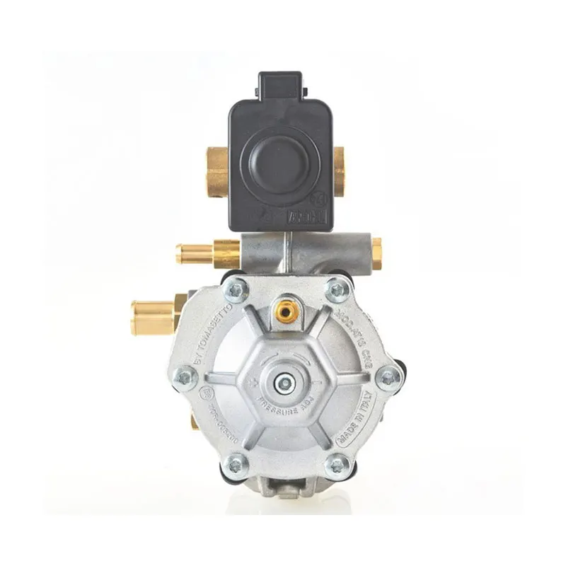 Сжатого природного газа Давление редуктор TOMASETTO модель AT12 Стандартный и Super с