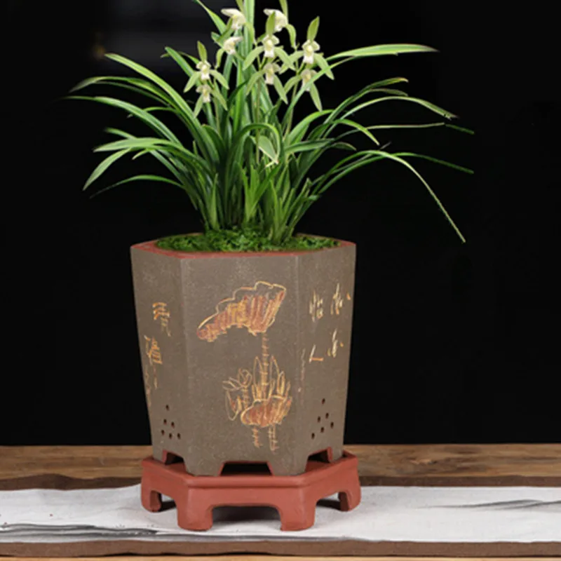 Фиолетовый цветок Clivia горшок орхидеи специальный Кливия дышащие высокого класса