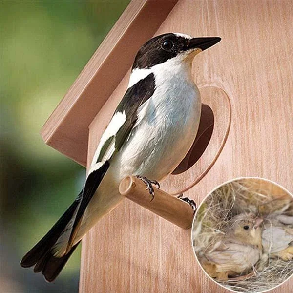 Сделай Сам присоска Птичье гнездо попугай теплая подвесная кровать для домашних