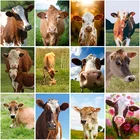 Алмазная 5D живопись сделай сам на ферме Корова, полноразмерная вышивка с животными, вышивка крестиком, подарок, искусство на стену, домашний декор