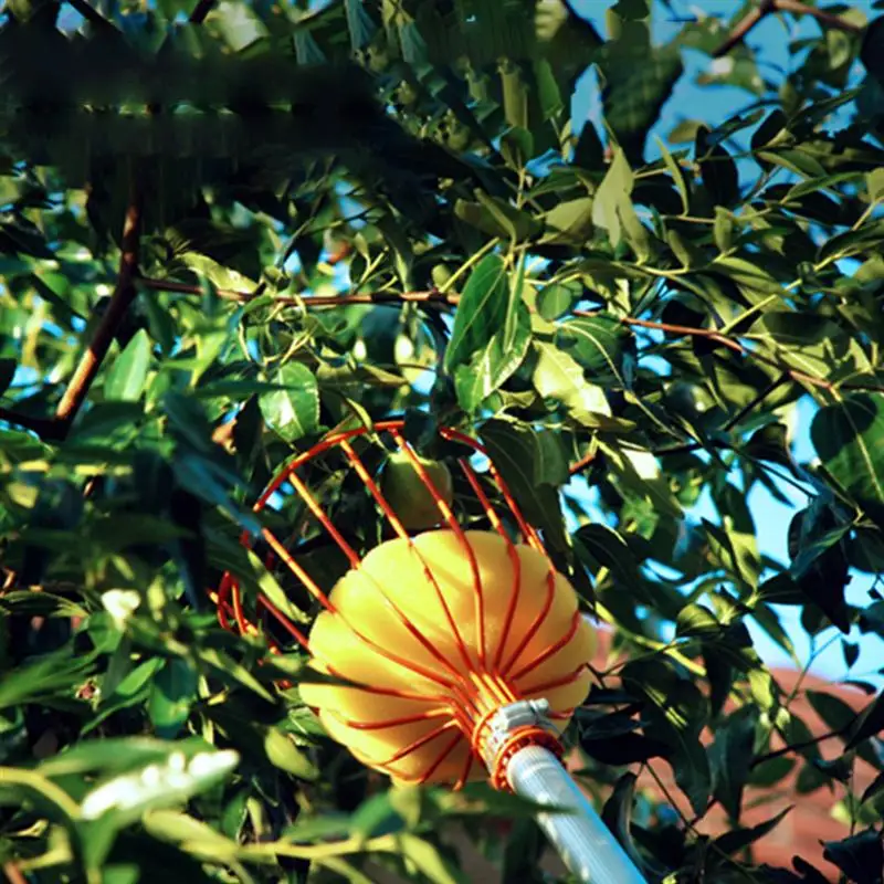 2Pcs Fruit Picking Device Durable Gardening Apple Pear Peach Tool Garden Supplies | Дом и сад