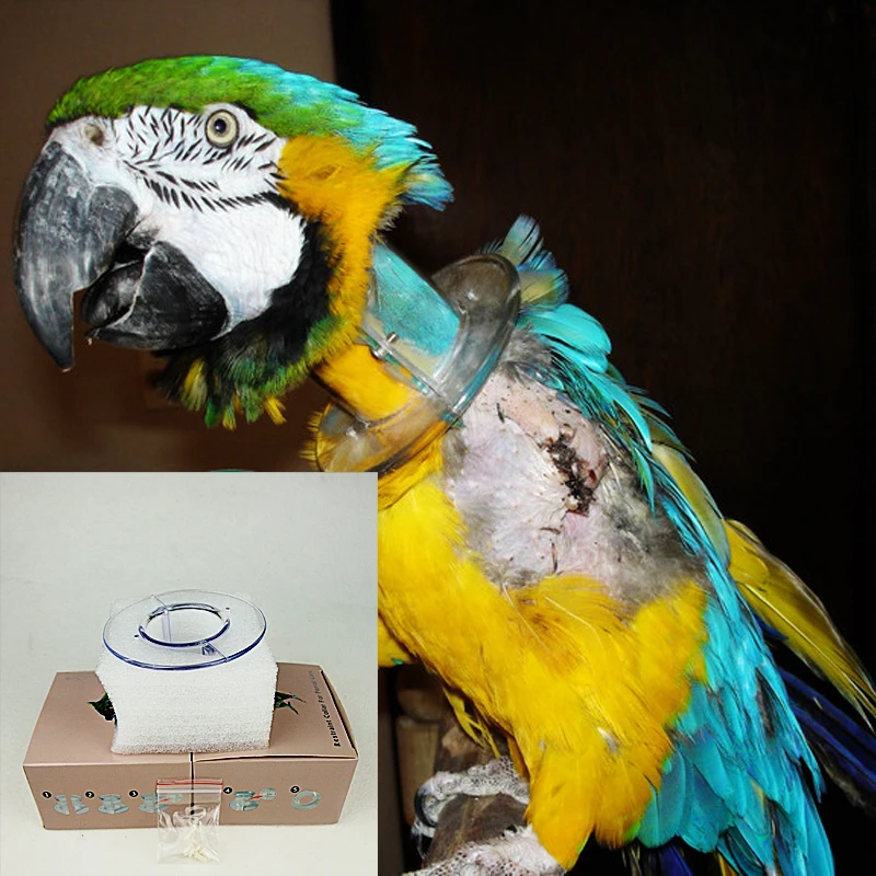 Акриловый ошейник-труба с птицей для тяжелого попугая перьев подтяжки шейный