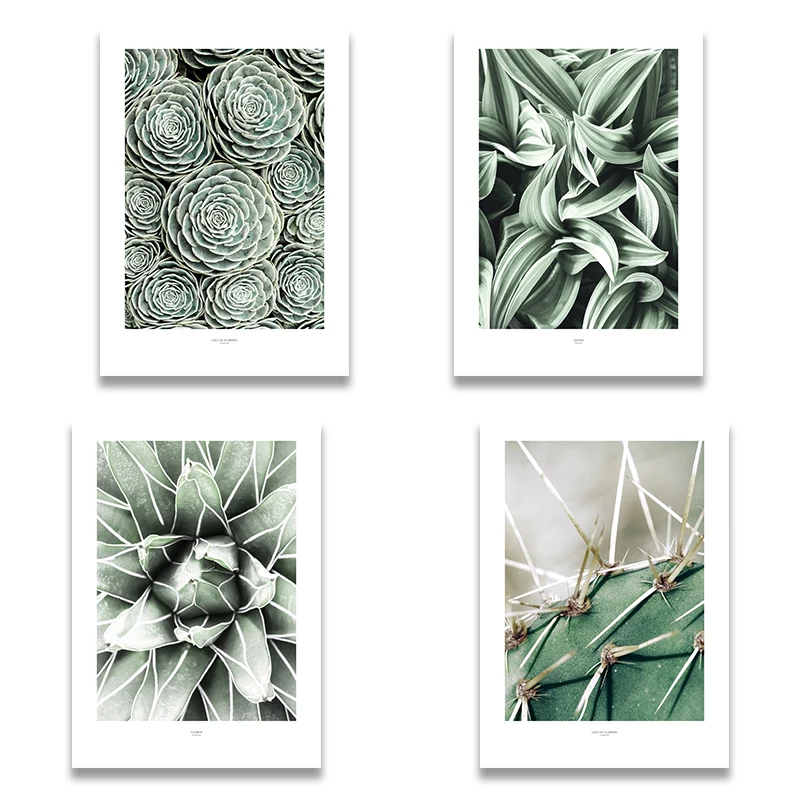 Скандинавский Зеленый Кактус цветы листья суккуленты холст печать Постер