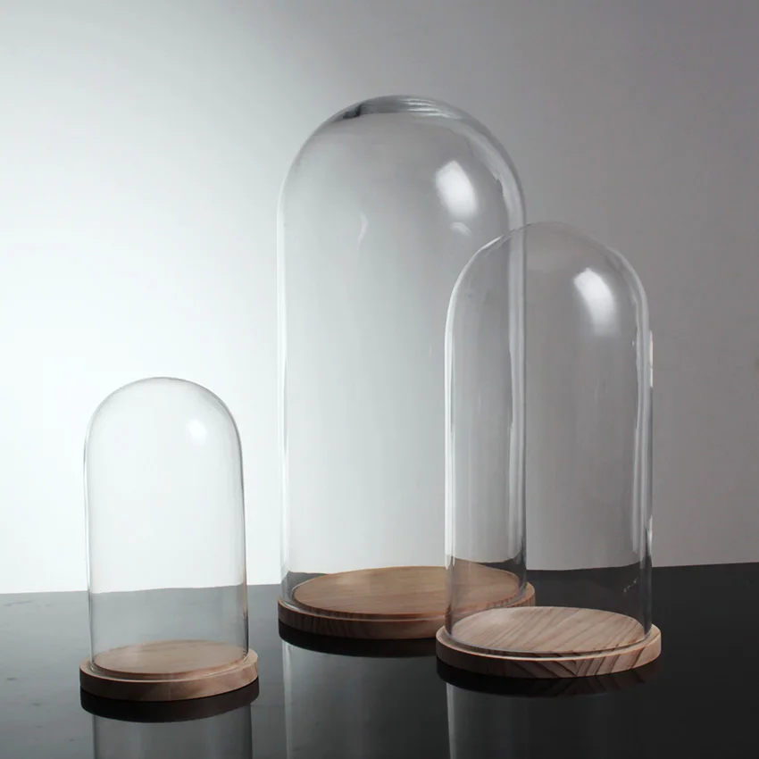 

Натуральные консервированные цветы, большая стеклянная купольная крышка с деревянной основой, домашний декор, детские подарки, нижние вазы...