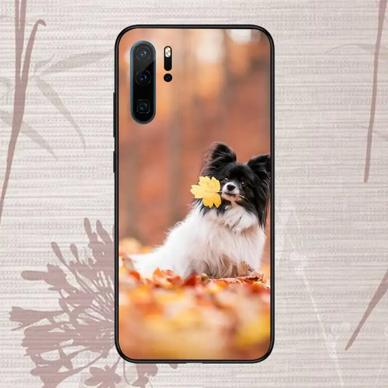 

Cute animal papillon Phone Case For Huawei P20 P30 P40 lite Pro P Smart 2019 Mate 10 20 Lite Pro Nova 5t