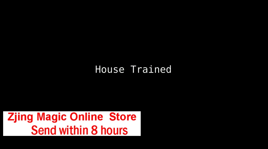 

2020 House Trained by Andrew Frost Magic Tricks