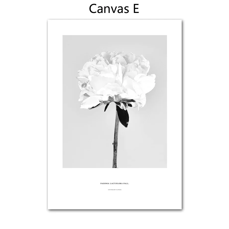 

Настенная картина "Черно-белый пион и хризантема", Gotinkart