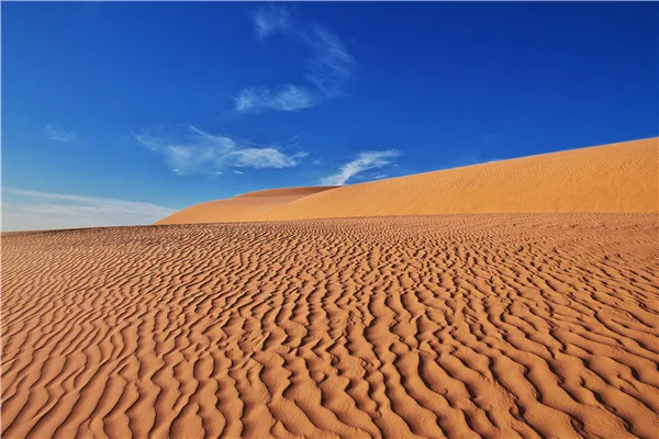 

SHENGYONGBAO Vinyl Custom Photography Backdrops Props Photo Studio Castle theme Background 20228-109