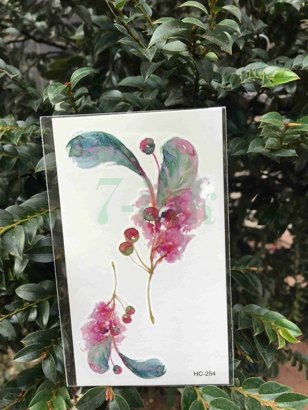 Переводятся с помощью воды татуировки розового цвета обувь украшениями в виде