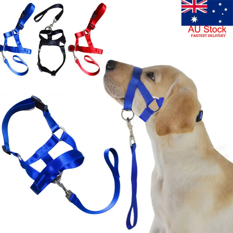 

Creative Dog Halter Halti Training Head Collar Gentle Leader Harness Nylon Breakaway All Seasons Usefull Harnesses Lead hot