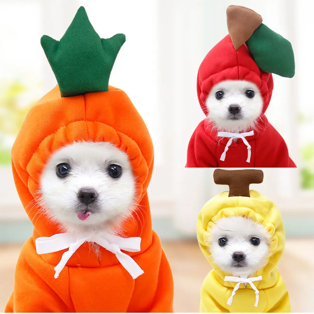 

Dog Clothes, New Autumn and Winter Teddy Cat Pomeranian Fleece Warm Comfortable Sweater Jacket, Suitable for Small Medium Pets