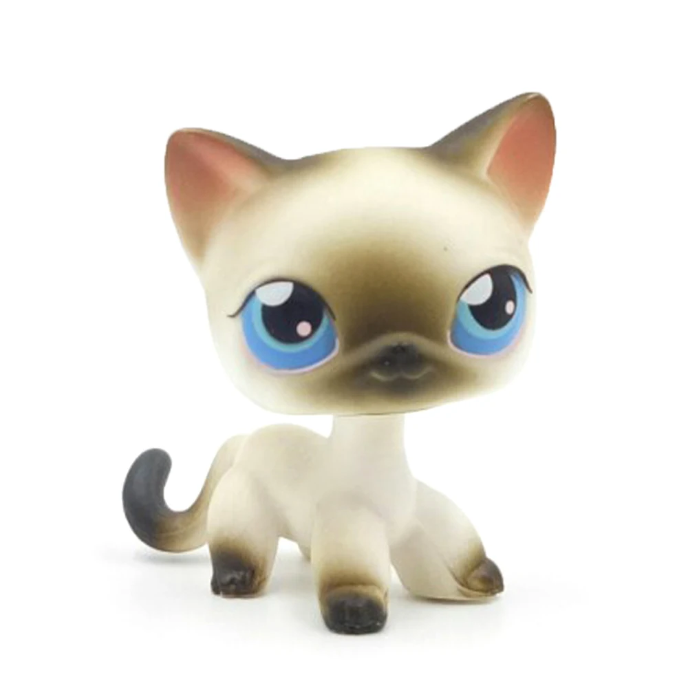 

LPS CAT Real animal Littlest pet shop Bobble head toys standing #5 grey short hair cat white siamese kitten with blue eyes