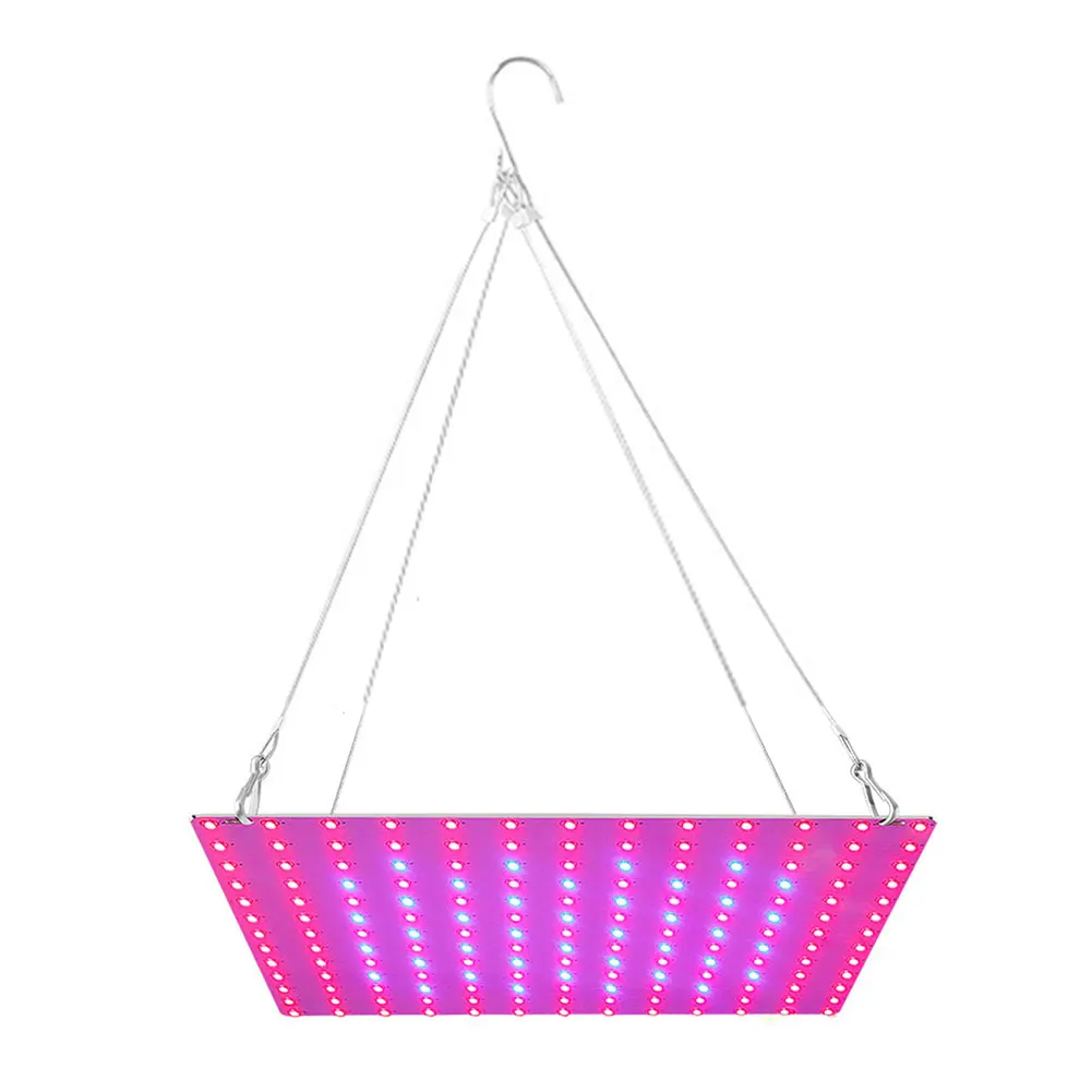 

LED Grow Light Indoor Full Spectrum 81 LEDs 169 LEDs Light Plant Grow Lamp Fill light 20W 40W US UK Indoor Phyto Lamp Grow Tent