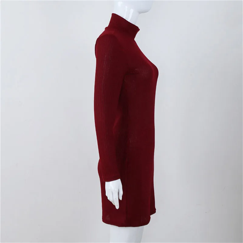 

New Women Knitted Wool Dresses Fashion Ladies High Neck Slim Basic Long Sleeve Winter Autumn Warm Dresses