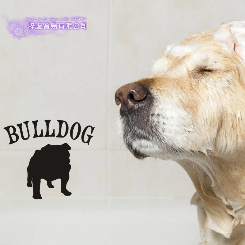 Pet Shop Sticker Dog Car Switch Decal BULLDOG Posters Vinyl Wall Art Decals Pegatina Quadro Parede Decor Mural | Дом и сад