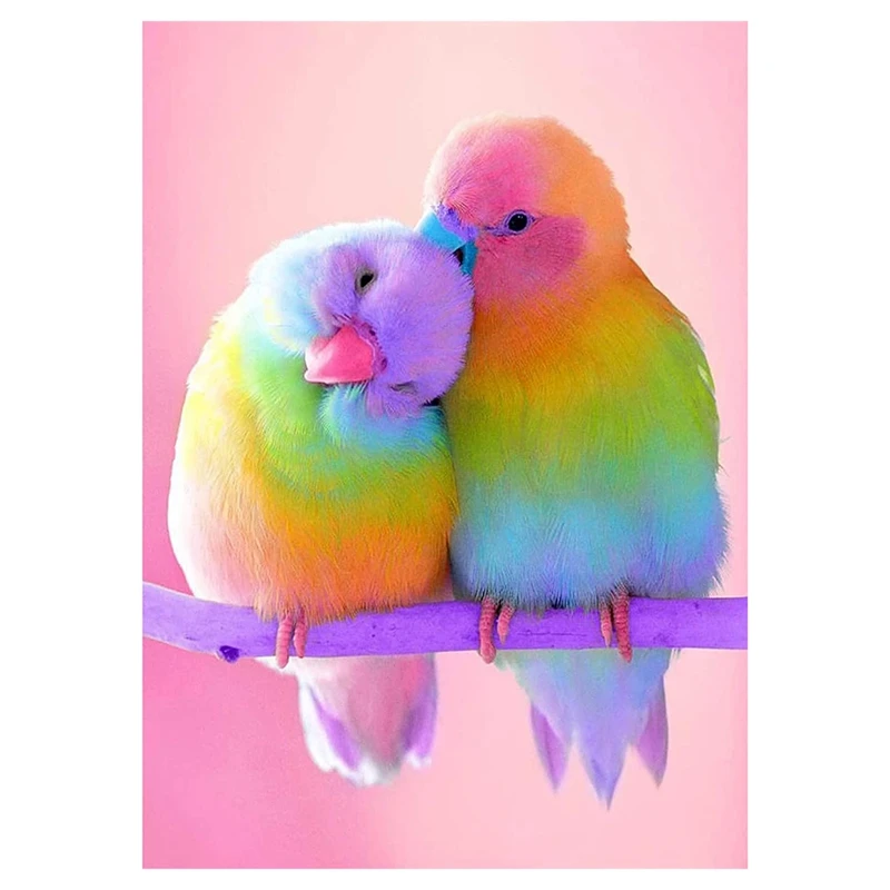 

Набор для алмазной живописи Стразы с птицами для взрослых, аксессуары для рисования, алмазная вышивка, домашнее украшение для стен