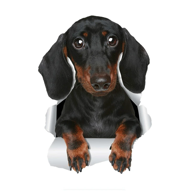

Car Sticker Cute Dachshund Dog Waterproof Sunscreen Decal Notebook Motorcycle Car Accessories Decoration PVC,15cm*12cm