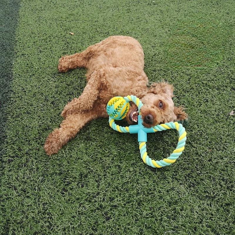 

High Quality Dog Toys Cotton Rope Rubber Ball Stuffed with Snacks Leaking Food Ball Bite-resistant Pet Toy Supplies Wholesale