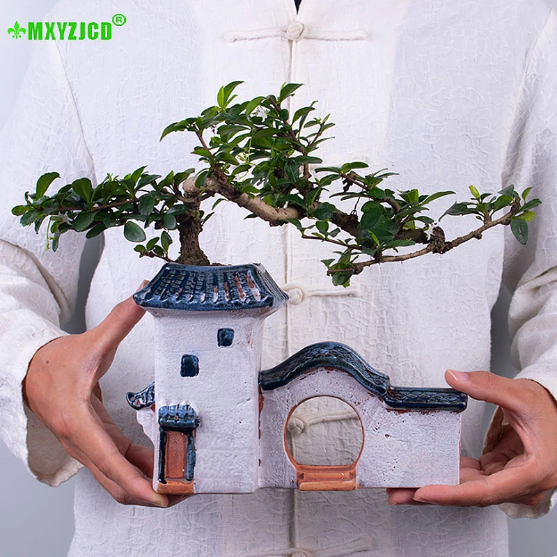 Суккуленты керамический горшок для садоводства гостиной дома модель цветочный