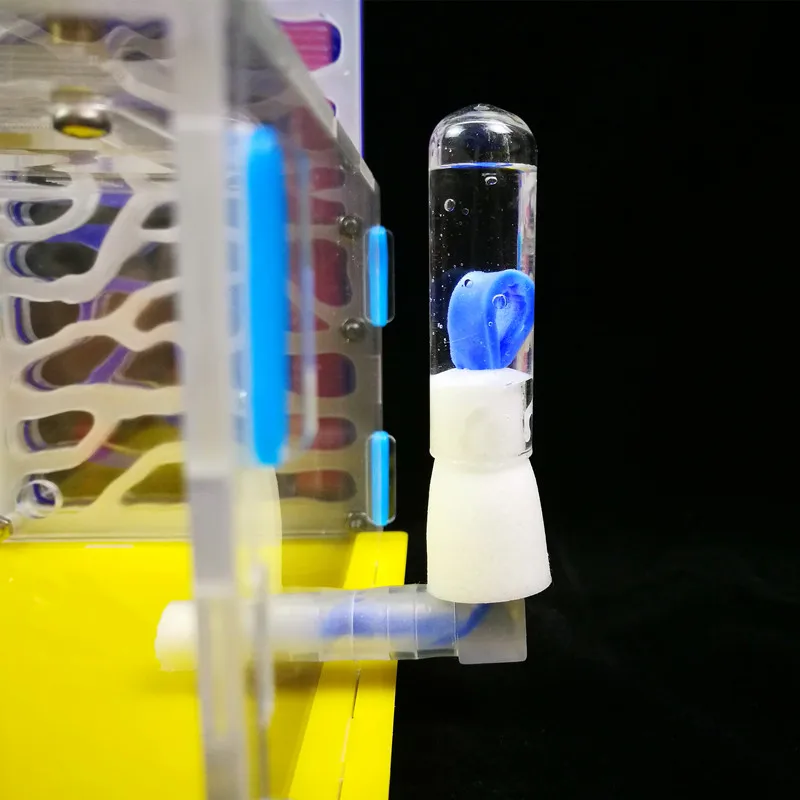 1 шт. дизайн сделай сам с зоной кормления муравьиная ферма из акрила насекомое