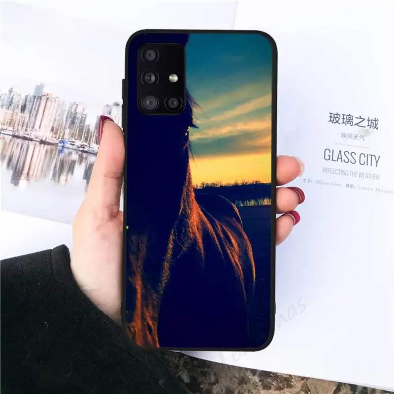 

Frederik The Great beauty horse Phone Case black For Samsung galaxy S 21 20 10 8 A 51 71 50 21s 70 40 20 20e note 10 plus Ultra