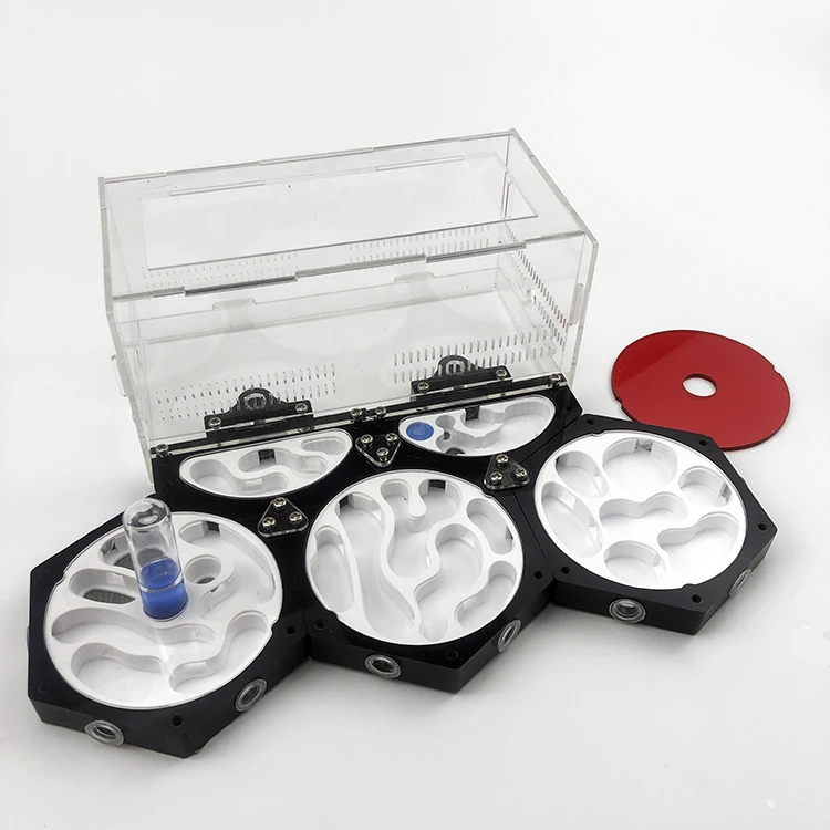 professional with feeding area 3d high grade space station ant nest moisturizing idea reptile terrarium ants farm house free global shipping
