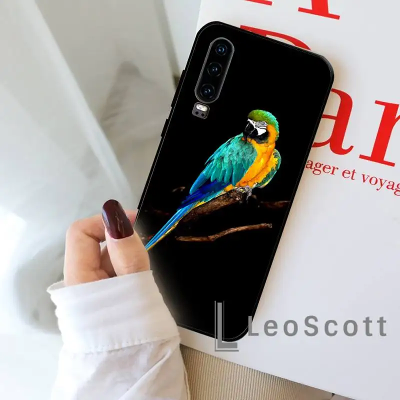 

Parrot starling animal colorful Phone Case For Huawei honor Mate P 9 10 20 30 40 Pro 10i 7 8 a x Lite nova 5t