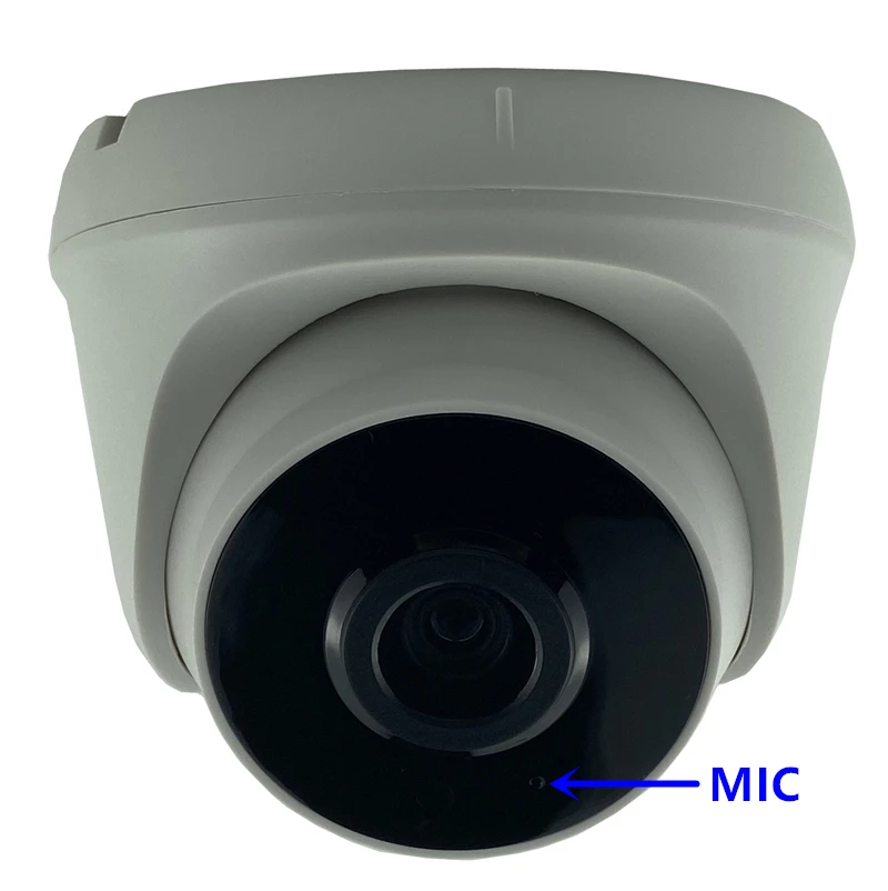 Встроенный микрофон аудио 3MP 1080P Sony IMX291 + 3516CV300 StarLight IP потолочная купольная камера