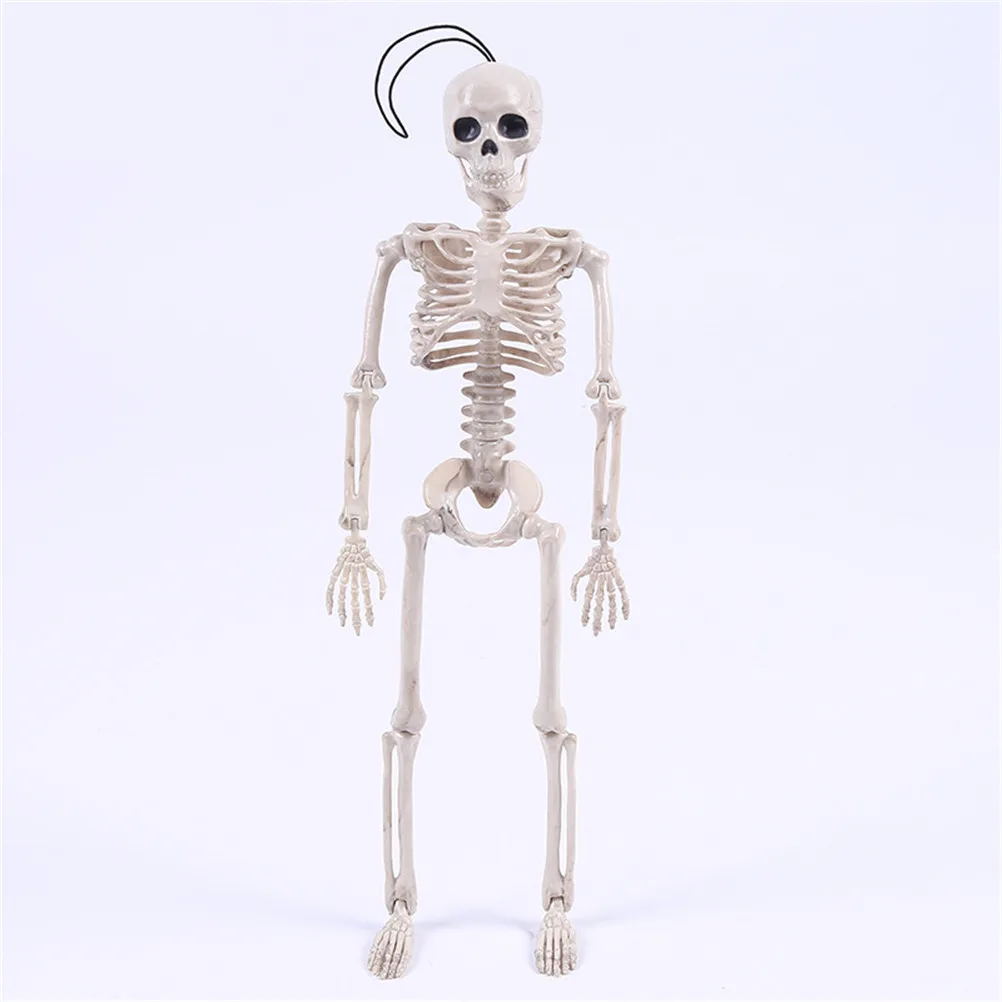 

Flexible Human Anatomical Anatomy bone Skeleton Model Medical Wholesale Medical Learn Aid Anatomy art sketch 40CM Halloween