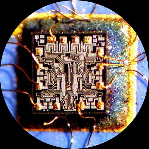 Микроскоп AmScope 7X-45X Тринокулярный стереомикроскоп с увеличением черной двойной