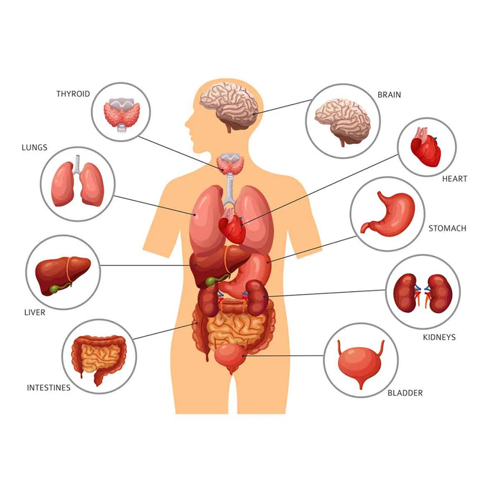 Массажная подушка для ног акупунктурный коврик t6 снятия боли в ногах