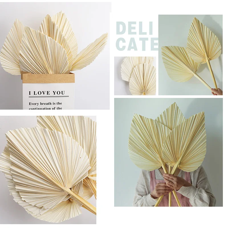 Abanico de Palma de hoja seca, decoraci&oacute;n colgante de pared art&iacute;stica para fiesta de recepci&oacute;n, boda, 5 uds.-4