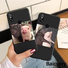 Чехол-бампер для Cubot X19, мягкий ТПУ чехол для задней панели телефона Cubot X 19 X19