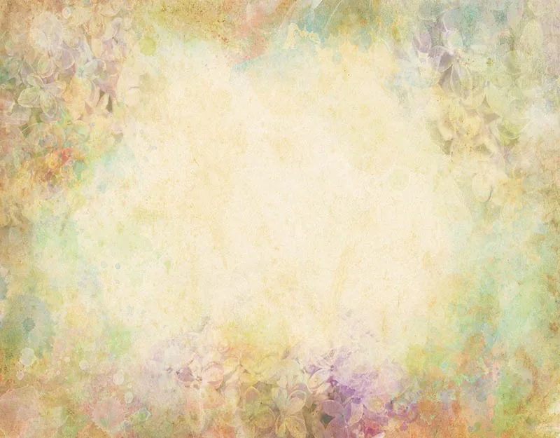 

Old master newborn backdrops photo studio vinyl princess photography backdrops for photo Studio accessories photophone NB-213
